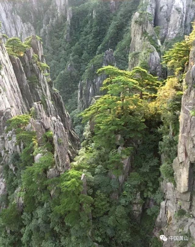 混乱特工